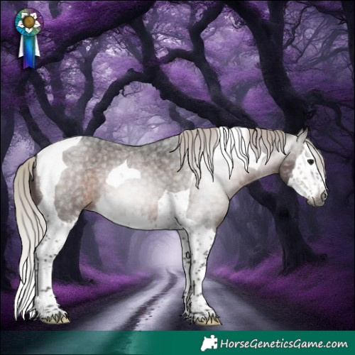 Horse Color:Gray Silver Brown Roan Splash Tobiano Rabicano 