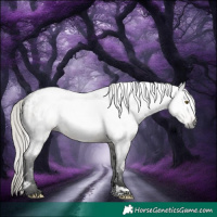 Horse Color:Gray White Spotted Silver Buckskin Roan Rabicano 
