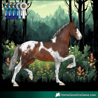 Horse Color:Silver Brown Tobiano Appaloosa Rabicano 