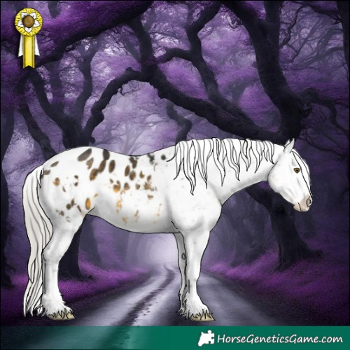 Horse Color:White Spotted Silver Buckskin Tobiano Appaloosa Rabicano 