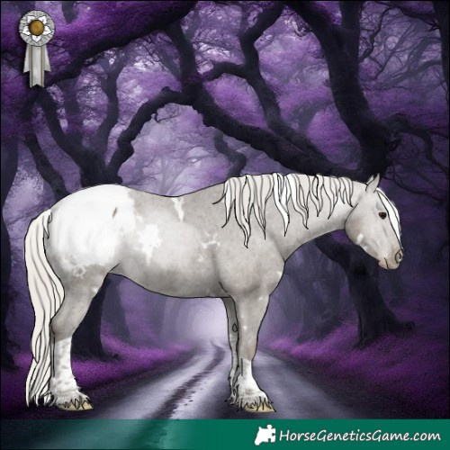 Horse Color:White Spotted Silver Smoky Black Tobiano Appaloosa Rabicano 