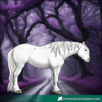 Horse Color:White Spotted Silver Brown Snowcap