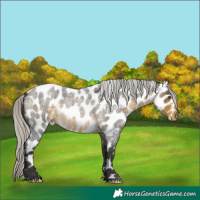 Horse Color:White Spotted Silver Buckskin Roan Near Leopard