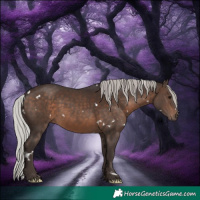 Horse Color:White Spotted Silver Brown