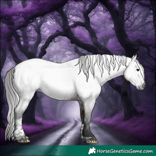Horse Color:Gray Brown Roan Tobiano Appaloosa Rabicano 