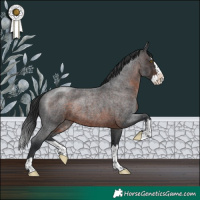 Horse Color:Brown Roan Splash Rabicano 