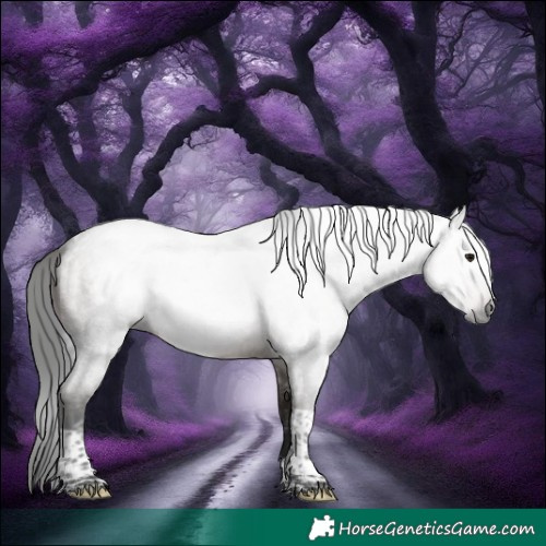 Horse Color:Gray Brown Roan Tobiano 