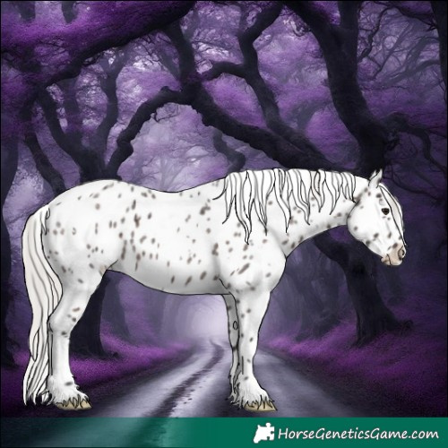 Horse Color:White Spotted Silver Brown Roan Appaloosa 