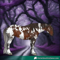 Horse Color:White Spotted Liver Chestnut 