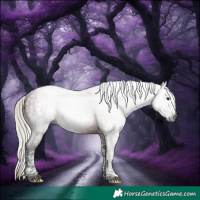 Horse Color:Gray Silver Brown Tobiano Rabicano 