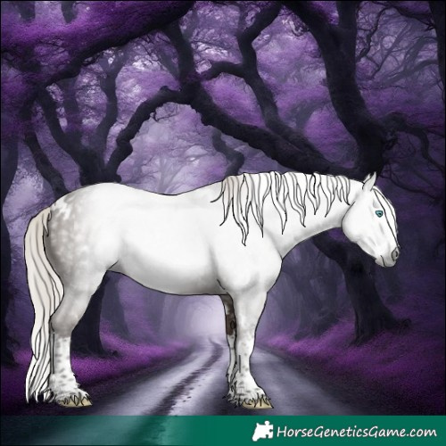 Horse Color:Gray White Spotted Silver Black Splash Rabicano 