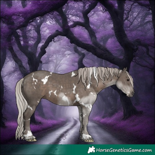 Horse Color:White Spotted Silver Black 