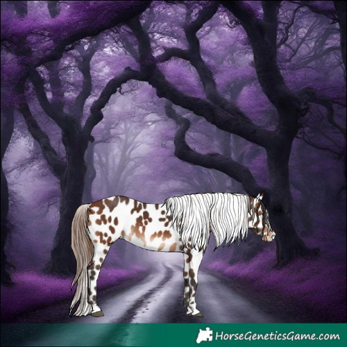 Horse Color:Bay Near Leopard 