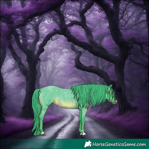 Horse Color:Watercolor Blue Roan 
