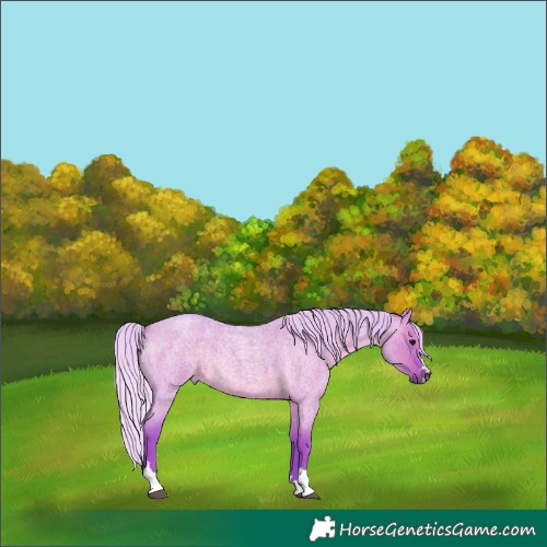 Horse Color:Watercolor Silver Grullo Roan 
