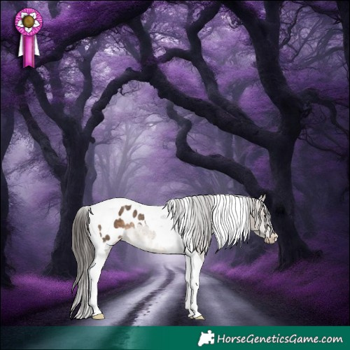 Horse Color:Brown Dun Tobiano Blanket Rabicano 