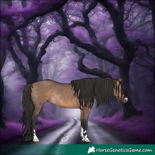 Horse Color:Brown Dun Rabicano 