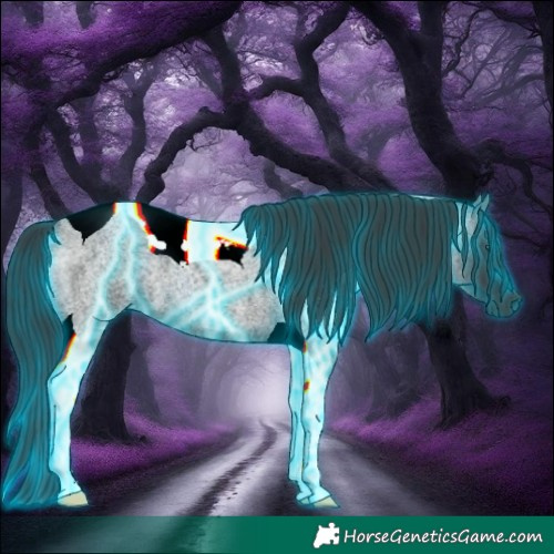 Horse Color:Thunderstruck Blue Roan Tobiano 