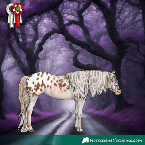 Horse Color:Chestnut Blanket 