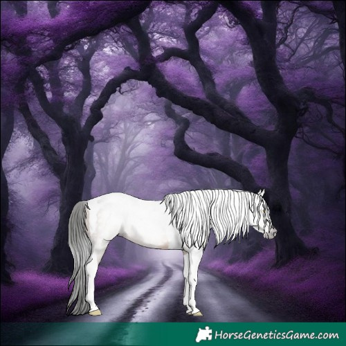 Horse Color:Gray Sable Champagne Tobiano 