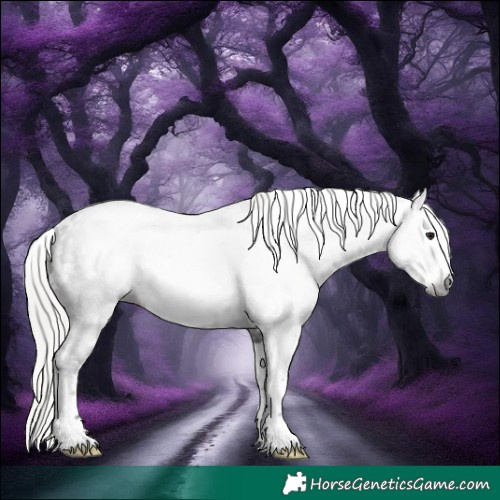 Horse Color:Gray White Spotted Silver Brown Roan Splash Rabicano 