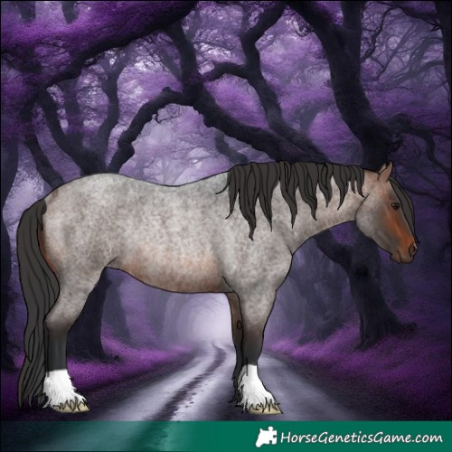 Horse Color:Brown Roan Rabicano 