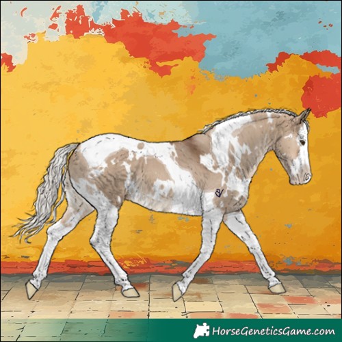 Horse Color:White Spotted Silver Brown Dun Splash Tobiano