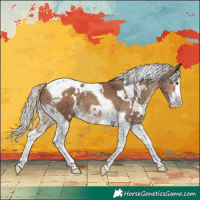 Horse Color:White Spotted Silver Brown Dun Splash Tobiano 