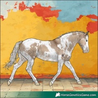 Horse Color:White Spotted Silver Brown Dun Splash Tobiano 