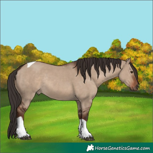 Horse Color:Liver Red Dun Tobiano Rabicano 
