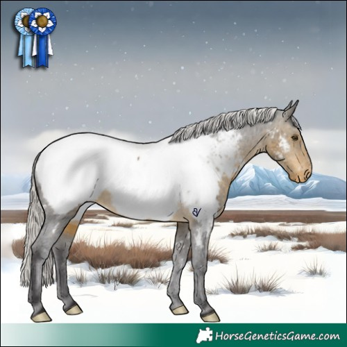 Horse Color:White Spotted Silver Buckskin Appaloosa Rabicano 