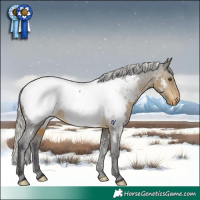 Horse Color:White Spotted Silver Buckskin Appaloosa Rabicano