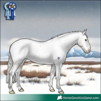 Horse Color:White Spotted Silver Buckskin Appaloosa Rabicano