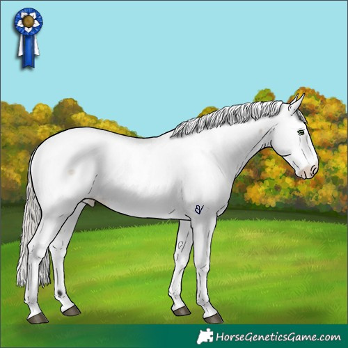 Horse Color:White Spotted Silver Buckskin Roan Dun Fewspot Rabicano 