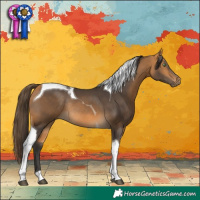 Horse Color:Buckskin Tobiano Rabicano