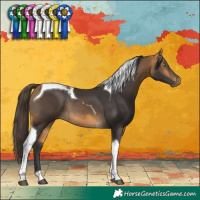 Horse Color:Buckskin Tobiano Rabicano