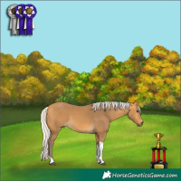 Horse Color:Silver Buckskin Tobiano 