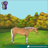 Horse Color:Silver Buckskin Tobiano