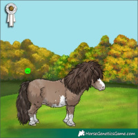 Horse Color:Classic Champagne 