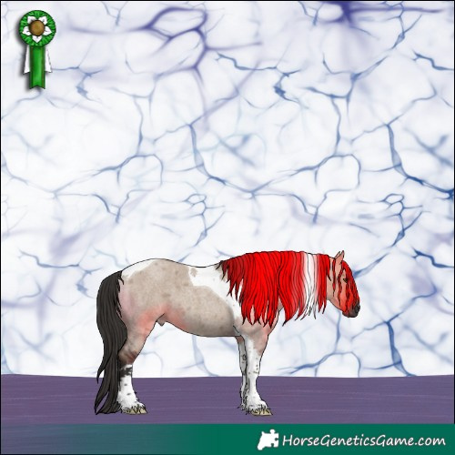 Horse Color:Liver Red Dun Roan Tobiano 