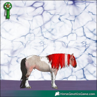 Horse Color:Liver Red Dun Roan Tobiano 