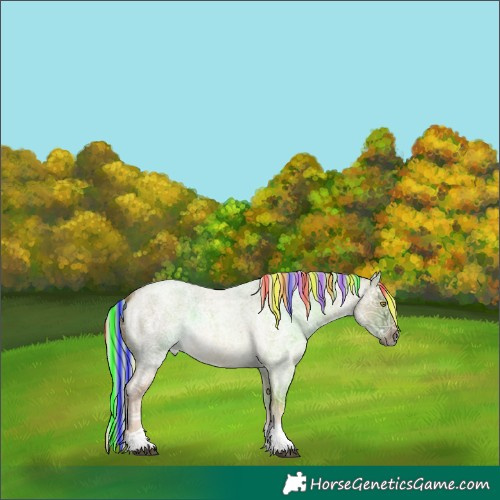 Horse Color:Painted Chocolate Palomino Ice Roan Dun Tobiano Rabicano 