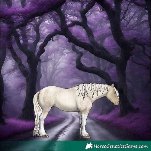 Horse Color:Silver Buckskin Roan Pearl Tobiano 