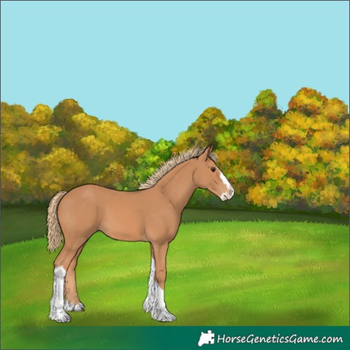 Horse Color:Chestnut Splash Tobiano Varnish 