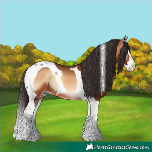 Horse Color:Bay Onyx Splash Tobiano 