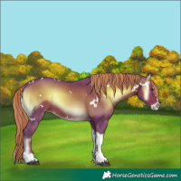 Horse Color:Watercolor White Spotted Red Onyx Splash Tobiano 