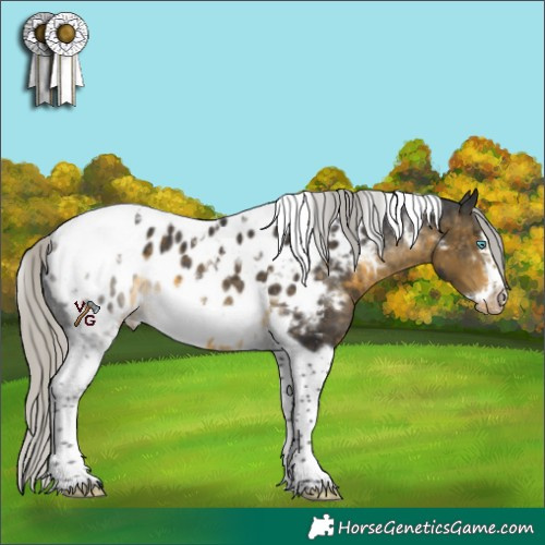 Horse Color:White Spotted Silver Buckskin Tobiano Frame Near Leopard Rabicano 