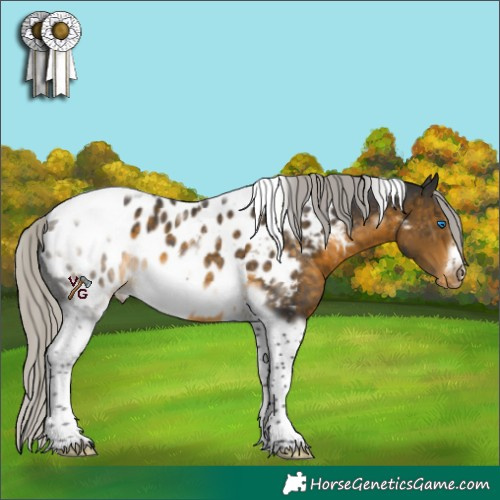 Horse Color:White Spotted Silver Buckskin Tobiano Frame Appaloosa Rabicano 