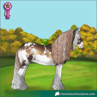 Horse Color:White Spotted Liver Red Onyx Splash Frame 