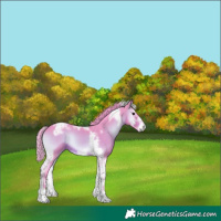 Horse Color:Watercolor Brown Onyx Splash Tobiano Frame